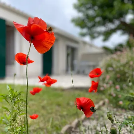 Maison De Sur Oleron 펜션 *
